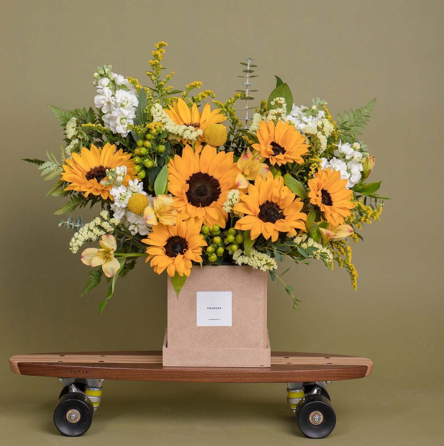 BOX DE GIRASOLES